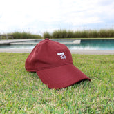 Boné Vinho com Branco